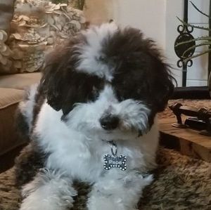 Meet your Posher, Karla